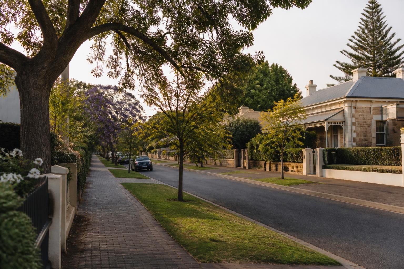 Welcoming Adelaide neighborhood with tidy streets and mature trees.